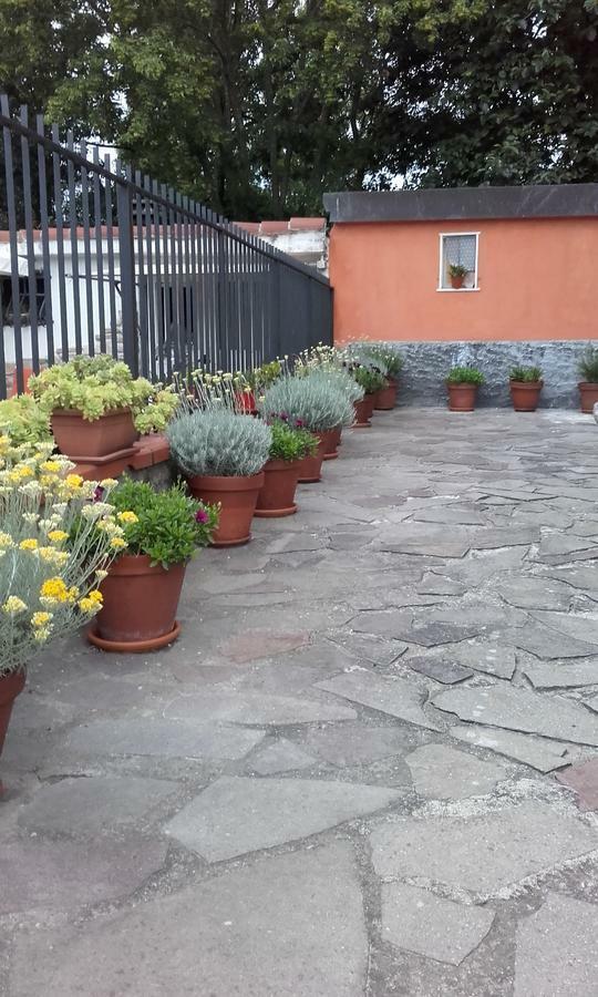 B&B Agora سارزانا المظهر الخارجي الصورة